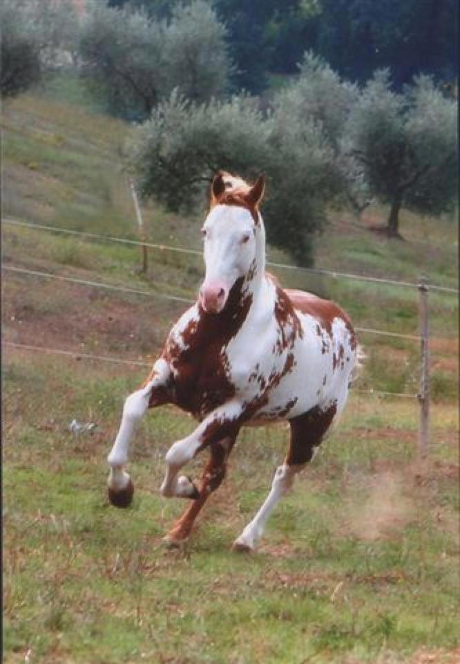 Agriturismo Cannavota Follonica Luaran gambar