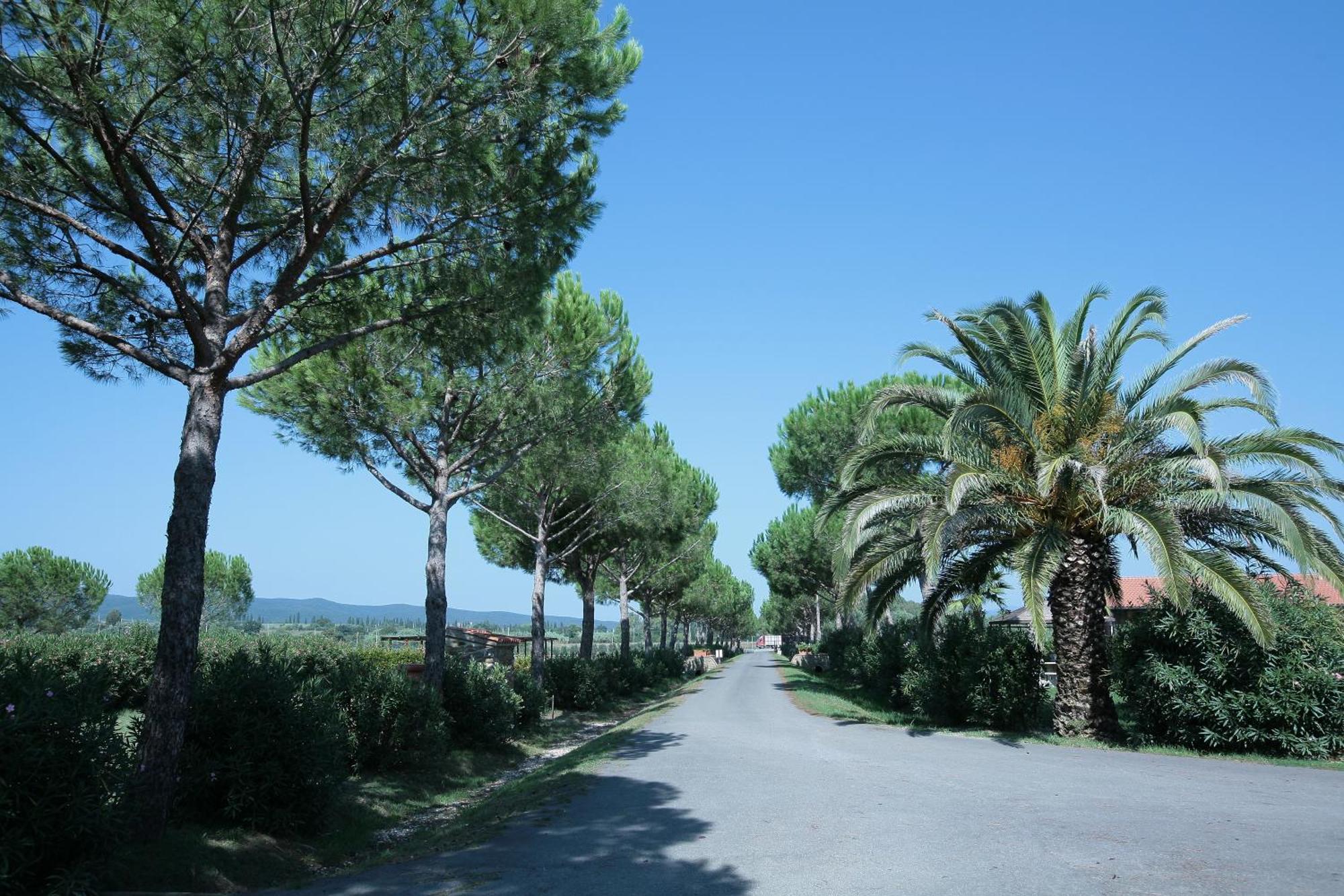 Agriturismo Cannavota Follonica Luaran gambar